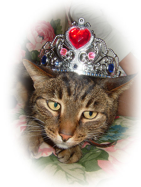 Queen Romi