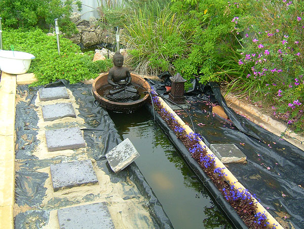 Concreted stepping stones and new feature