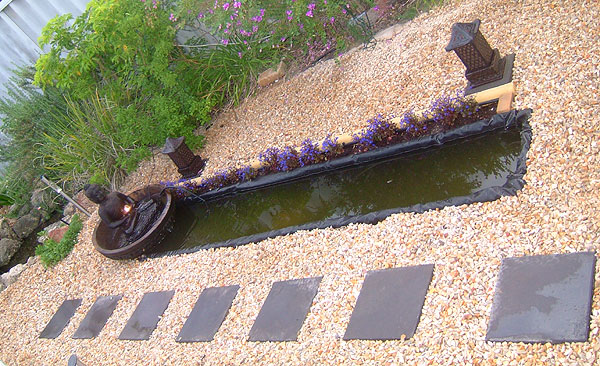Finished pond
