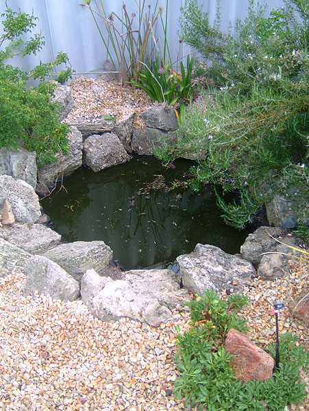 Old pond