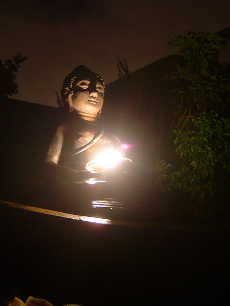 Buddha at night