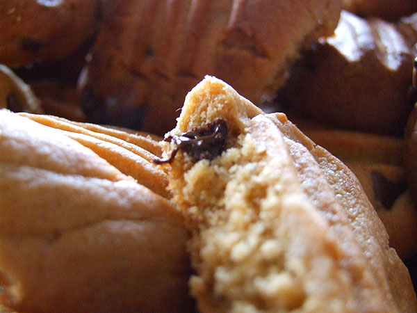 Texture - Chocolate Chip Cookies