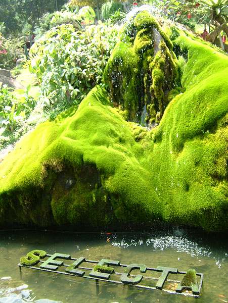 Malang