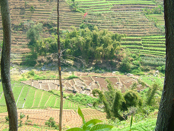 Malang
